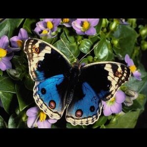 Meet your Posher, Mary